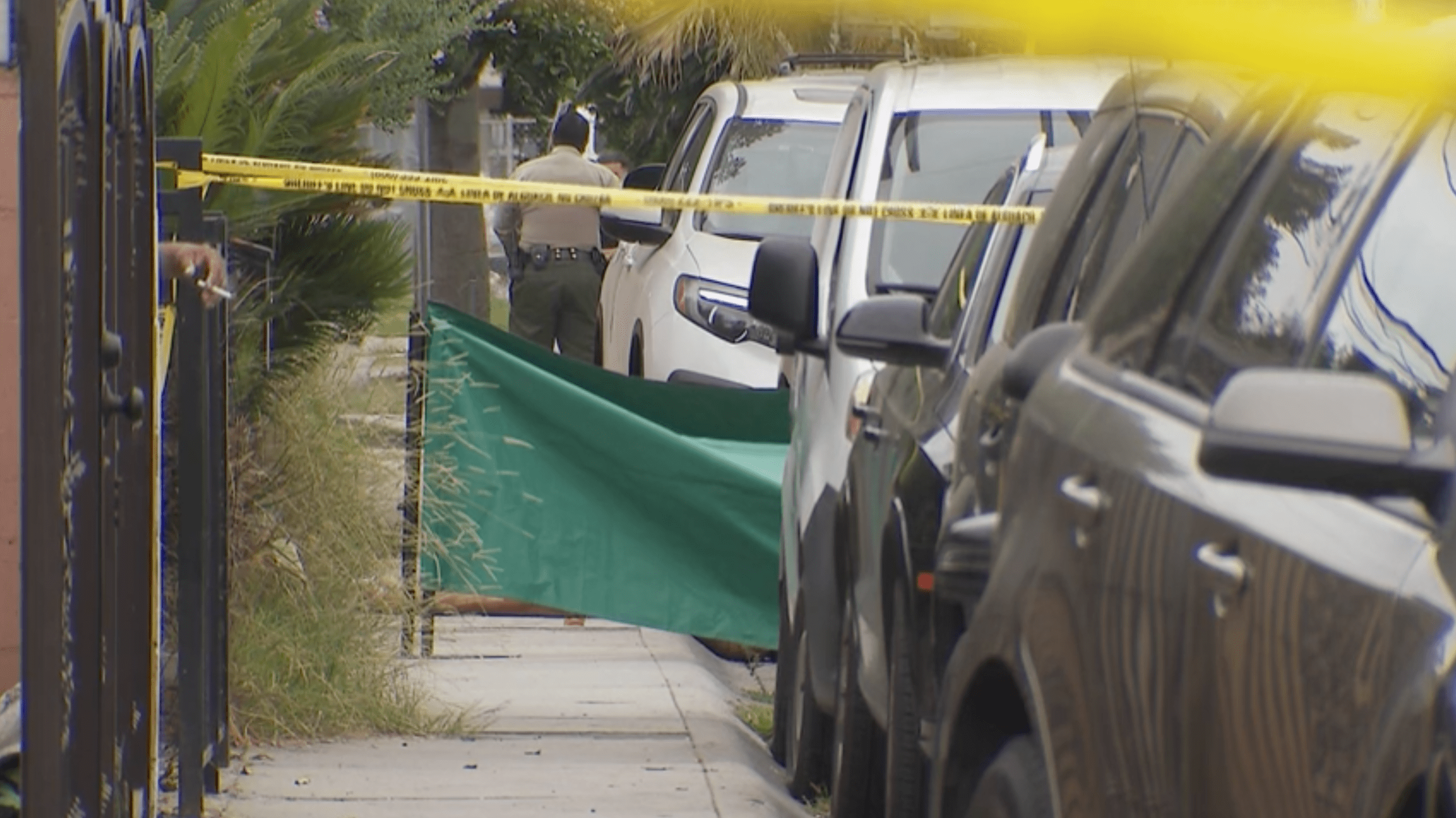 Irene Gonzalez was fatally shot and collapsed on the ground between two parked cars near 12514 Oak Street in Lynwood and was later discovered by a passerby on Sept. 15, 2024. (KTLA)